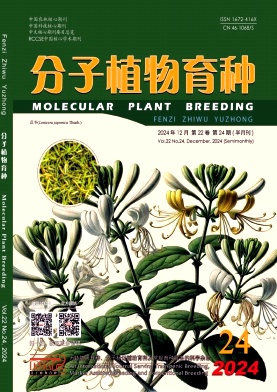 《分子植物育种》